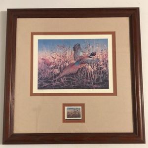 Frame 1994 Illinois habitat stamp
